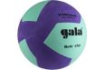 Мяч волейбольный Gala Soft 170, 12 BV5685SCF р.5 фото 1