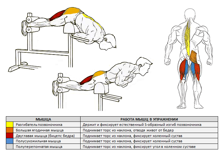 Гиперэкстензии для мышц спины 